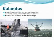 VÕÕRLIIGID LÄÄNEMERES #11