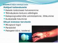 VÕÕRLIIGID LÄÄNEMERES #14