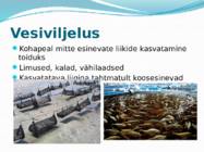 VÕÕRLIIGID LÄÄNEMERES #7