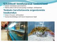 VÕÕRLIIGID LÄÄNEMERES #10
