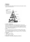 Budism-hinduism-Hiina usundid