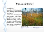 Siirdesoo #2