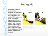 Siirdesoo #3