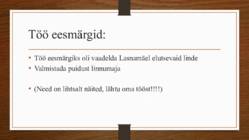 Näidis esitlus #4