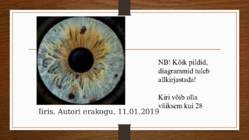 Näidis esitlus #8