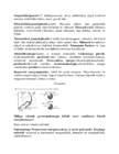 Energia teema kordamine #2
