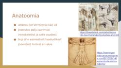 Leonardo Da Vinci #6