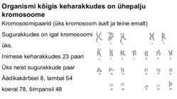 DNA-geenid ja kromosoomid #14
