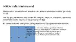 DNA-geenid ja kromosoomid #25