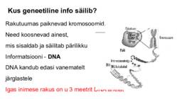 DNA-geenid ja kromosoomid #9