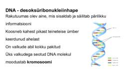 DNA-geenid ja kromosoomid #10