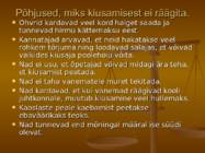 Kiusamine #6