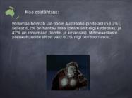 Austraalia Põllumajandus #4