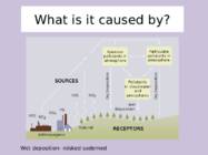 Environmental problems-acid rain #3