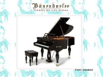 Franz Schubert #29