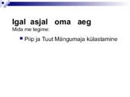 Lõimumisprojekt-IGAL ASJAL OMA AEG-- #5