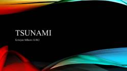 Tsunaamid