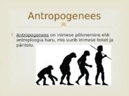 Antropogenees #2