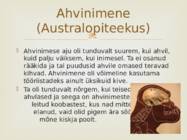 Antropogenees #4