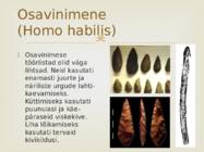 Antropogenees #6