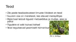 Teod ja karbid #2