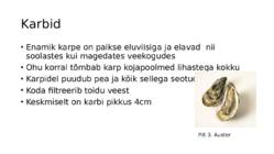 Teod ja karbid #5