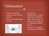 Lülijalgsed #5