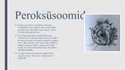 Peroksüsoomid ja mitokondrid #4