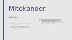 Peroksüsoomid ja mitokondrid #8