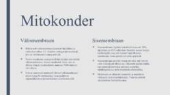 Peroksüsoomid ja mitokondrid #9