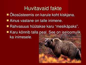 Karu #5