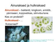 Miks on kooli kohustuslikus-õppekavas bioloogia #12