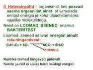 Miks on kooli kohustuslikus-õppekavas bioloogia #20