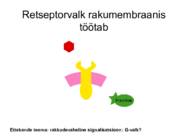 Miks on kooli kohustuslikus-õppekavas bioloogia #28