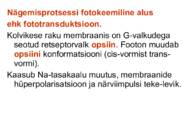 Miks on kooli kohustuslikus-õppekavas bioloogia #33