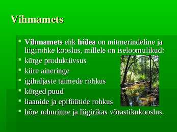 Vihmametsad #2