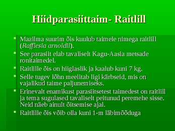Vihmametsad #16
