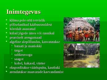 Vihmametsad #19