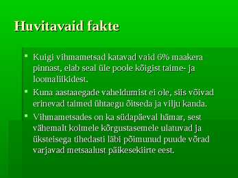 Vihmametsad #20