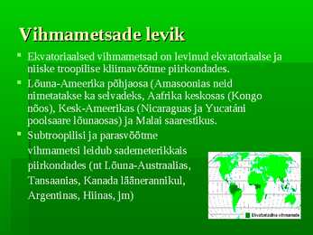 Vihmametsad #4