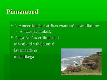 Vihmametsad #8