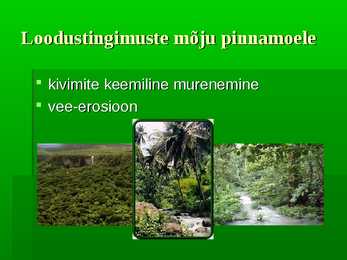Vihmametsad #9