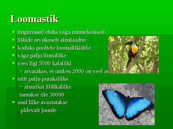 Vihmametsad #10