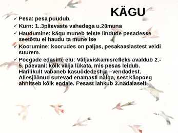 Lindude sigimine #2