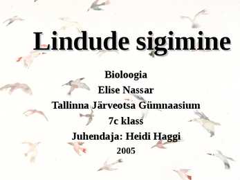 Lindude sigimine