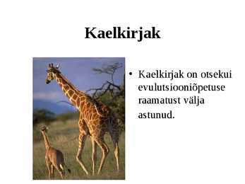 Kaelkirjak #2