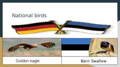 GERMANY vs ESTONIA #6