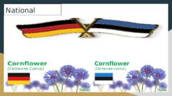 GERMANY vs ESTONIA #7