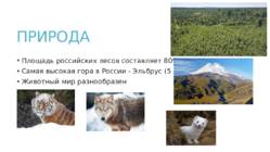 Presentatsioon Venemaa kohta - vene keeles #7