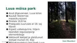 Pargi elukooslus ja toiduvõrgustik Luua mõisa pargi näitel #2